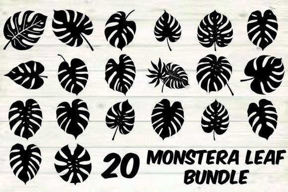 Download Monstera Leaf Bundle - Leaf Collection
