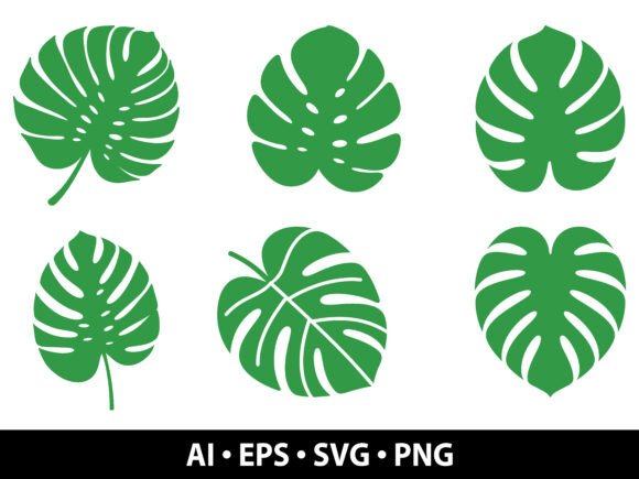 Download Monstera Leaf SVG Bundle - Leaf Collection