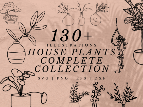 Download 130+ House Plant Illustration SVGs - Svg Collection
